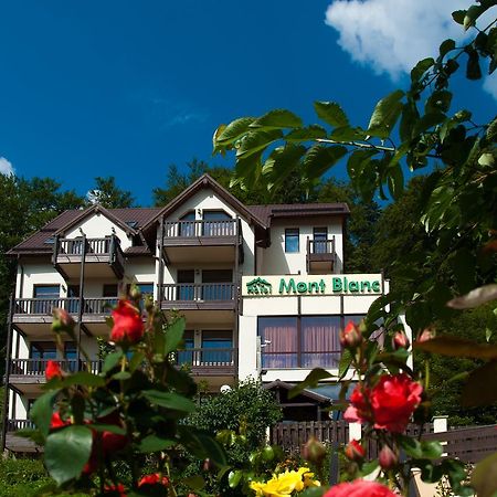 Hotel Mont Blanc à Predeal Extérieur photo