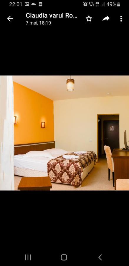 Hotel Mont Blanc à Predeal Extérieur photo