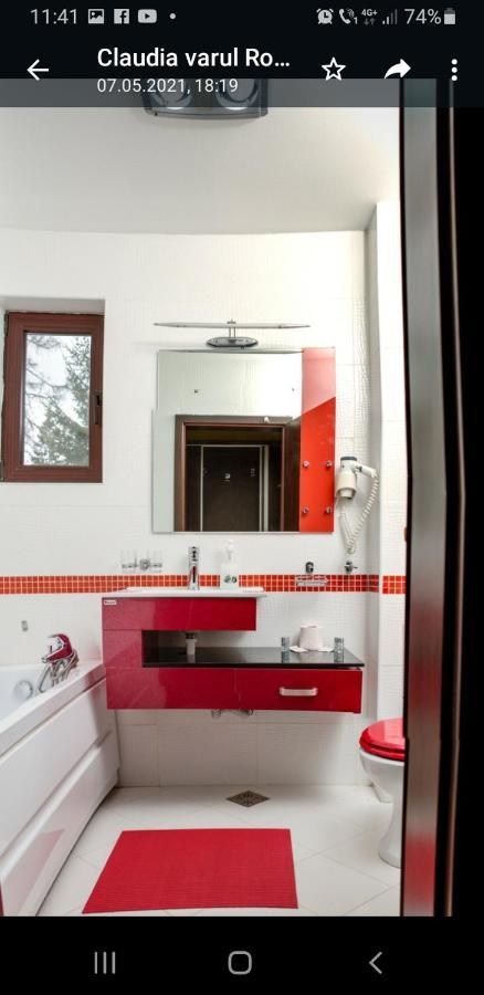 Hotel Mont Blanc à Predeal Extérieur photo