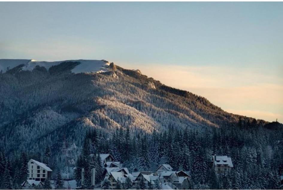 Hotel Mont Blanc à Predeal Extérieur photo