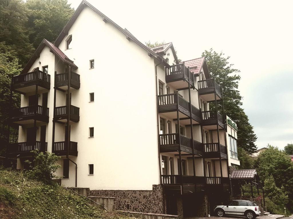 Hotel Mont Blanc à Predeal Extérieur photo